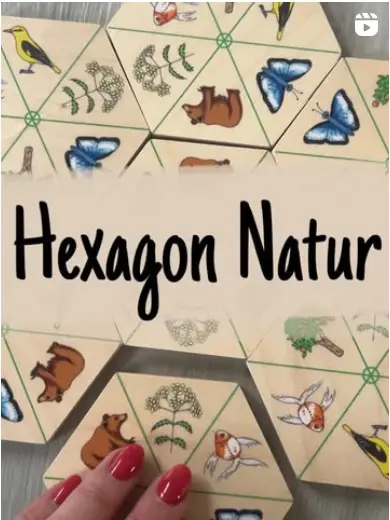 Hexagon Natur