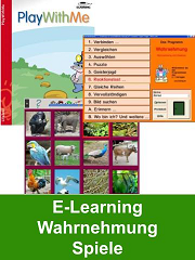 E-Learning Wahrnehmung, Spiele